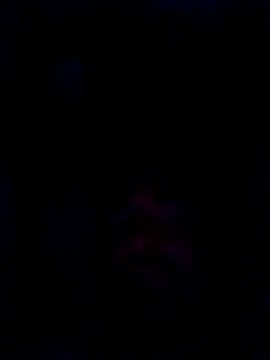 daddy_boom ওয়েবক্যাম শো
