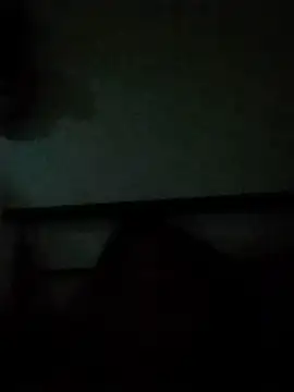 stibsas Pertunjukan Webcam