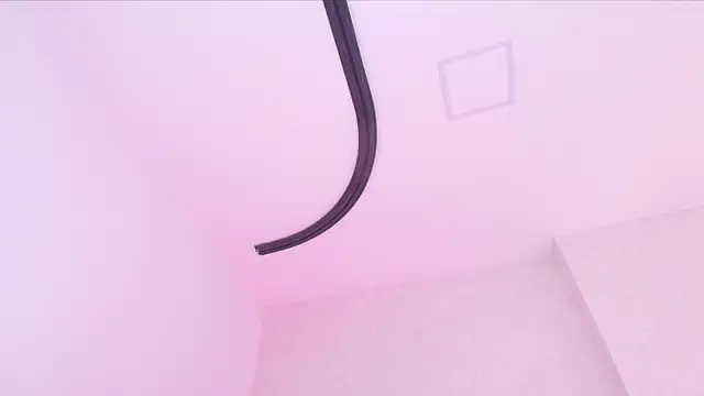 _carolina_fox's Live XXX Chat