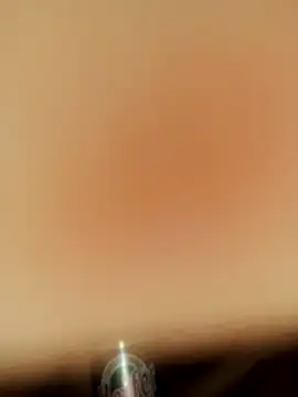 Chikitron98n Webbikameraesitys