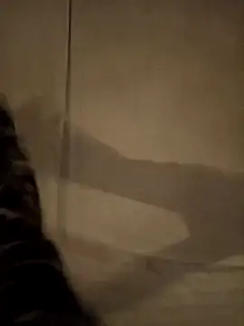 zigzog_'s Live XXX Chat