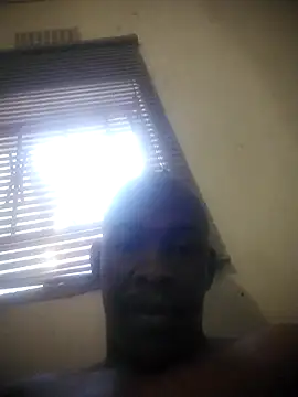 عرض كام zuludog