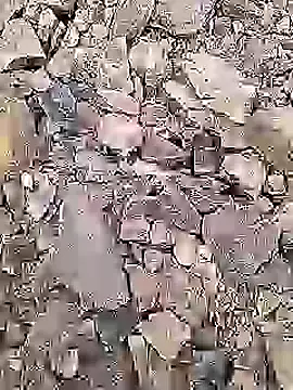 Show Webcam de Desi_boy_fuck