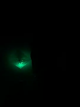 Chat +18 de neonginger ao vivo