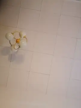 cleanBandzio – Naživo XXX chat