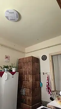 Dettybitch40 Live XXX-chat