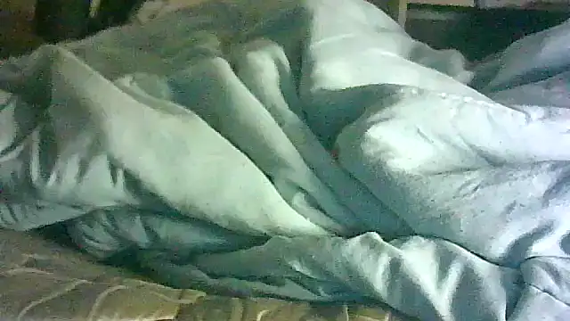 Show de CR3M3_FIR3 na webcam