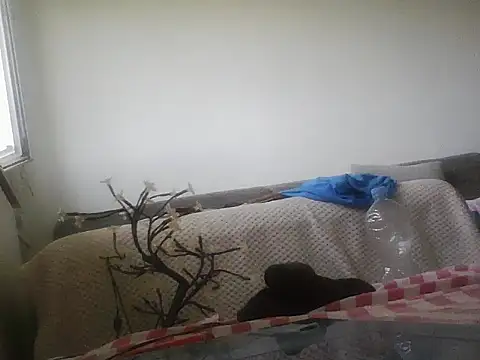 Živý XXX chat lickthehottie