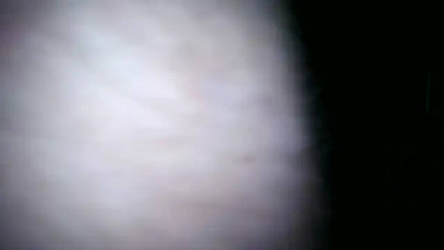 Chat XXX en directo de 0815lukas2024