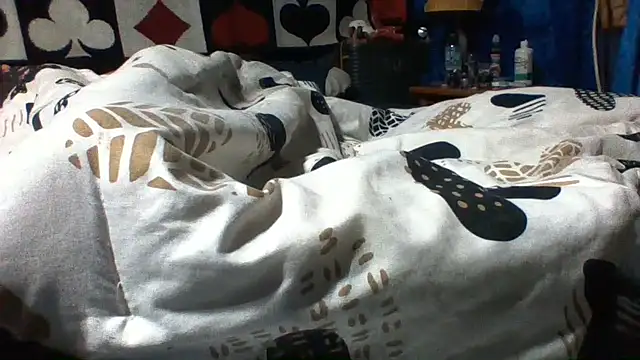 Chat XXX Live SillyRabbitz
