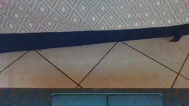 Webkamerová show gaynimesbm