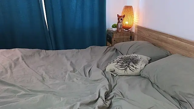 PaulettaGuinane 现场XXX聊天