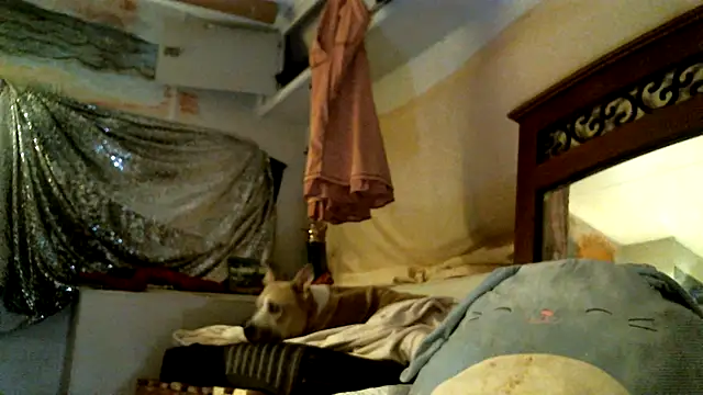SexyB214's Live XXX Chat