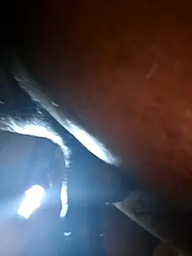 Tramontas webkamerás műsora