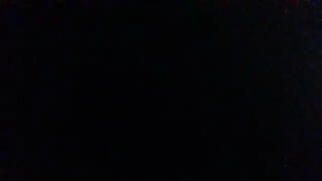 SillyRabbitz's Live XXX Chat