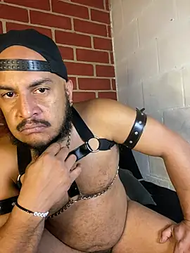 Chat +18 de the_master_foal_ ao vivo