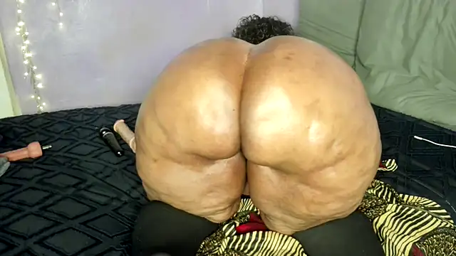 wilmaassylum live XXX chat