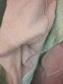 BootyCallEver Live XXX-chat