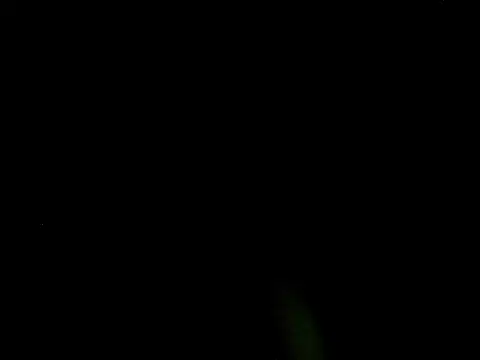 Jillian_Pattie – Live XXX-chat