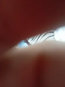 Chat XXX en directo de ambarlennoix