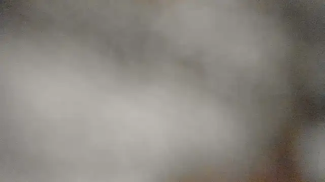 Shaddycute_n Live XXX chat