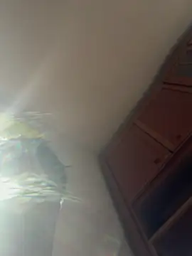 muschihunter43 Webcam-Show