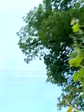 Pokazy przed kamerką – bigcock_marusz