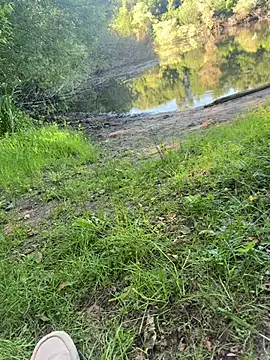 DickInTheWild Webcam-Show