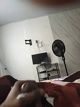 Perropa Live XXX-Chat