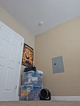 AmethystFoxx XXX чат на живо