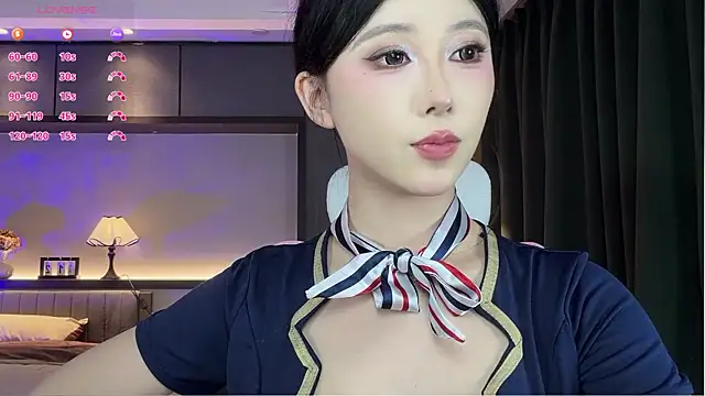 AYW-21 网络视讯表演