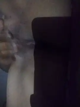 stibsas Pertunjukan Webcam