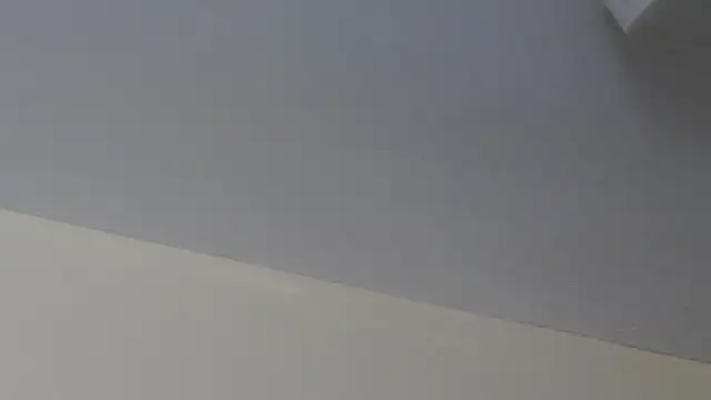 LeiaHuk Live XXX-Chat