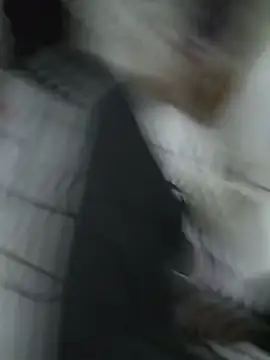 عرض كام comobucetinhas