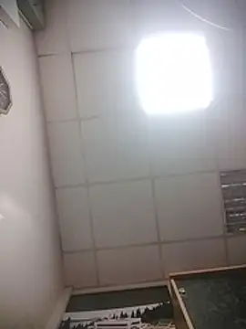 Lana-murr Chat XXX in diretta