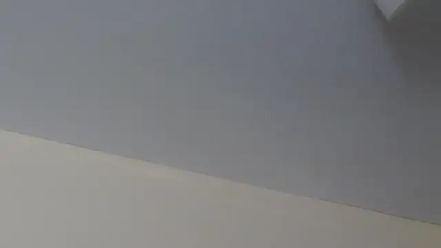 LeiaHuk's Live XXX Chat