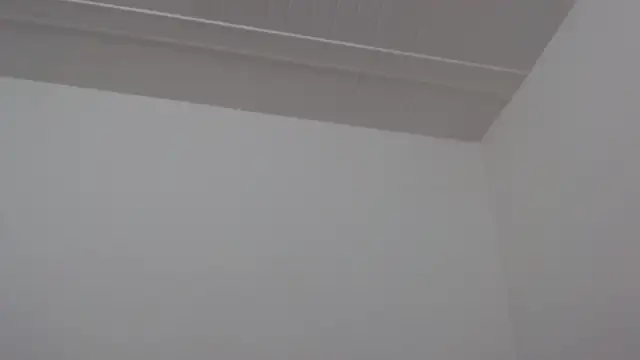 ElizabethMiler live XXX chat