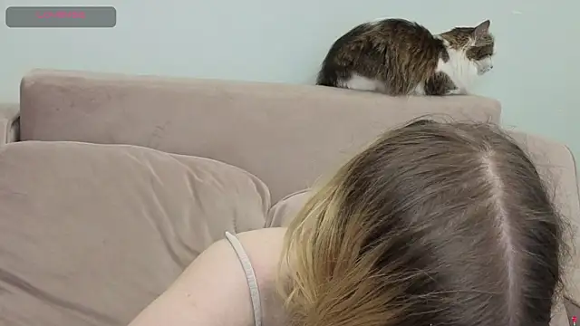 Chat +18 de gertanord ao vivo