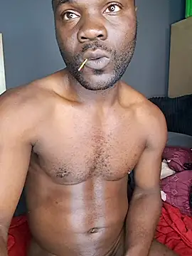 Petrossa 라이브 XXX 채팅