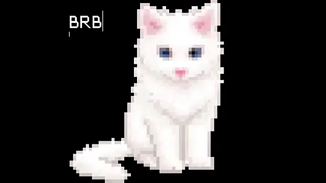 BlinkingDross Chat XXX live