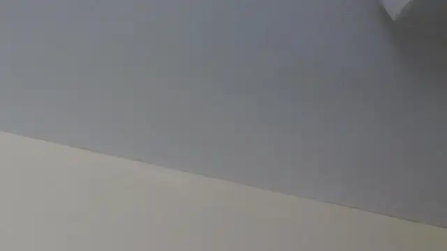 LeiaHuk Adlı Modelin Canlı XXX Sohbeti