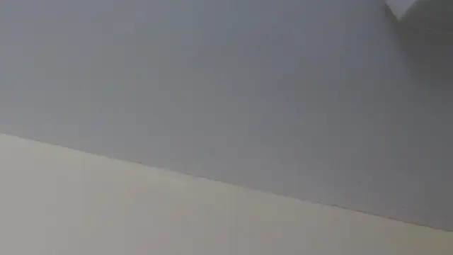 LeiaHuk Adlı Modelin Canlı XXX Sohbeti