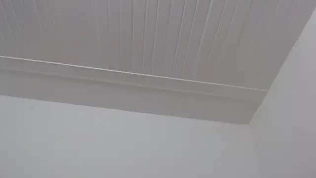 ElizabethMiler 라이브 XXX 채팅