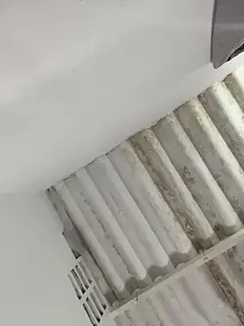 Chat +18 de Aaliyah_Melej ao vivo