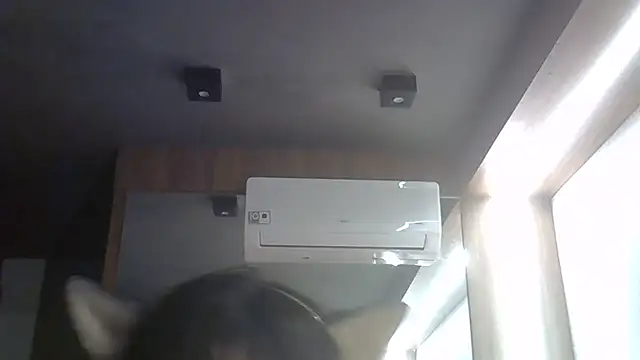Chat +18 de SkinnyKitten ao vivo