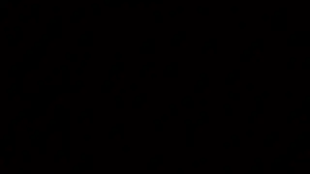 raven_n_mattn Webbikameraesitys