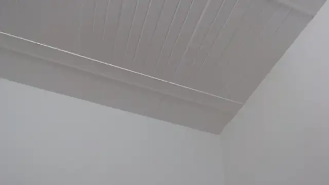 ElizabethMiler 라이브 XXX 채팅