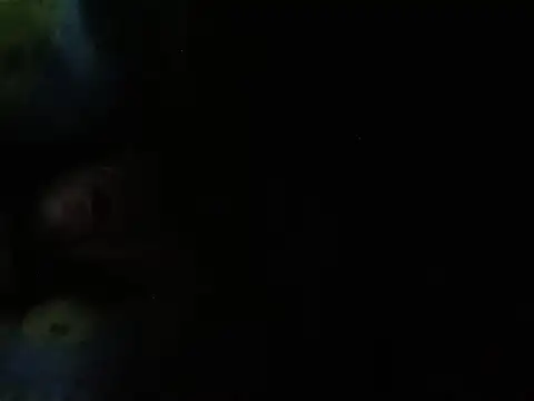 Show modela Ktosik88 na web-kameri