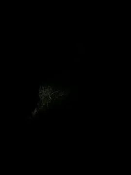MysticMarco Webcam-Show