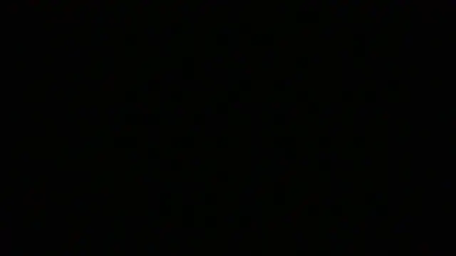 NuttyProfesir Show Webcam